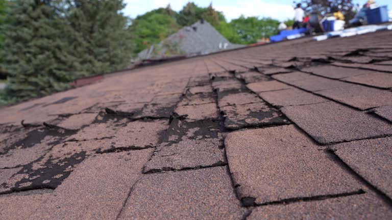 Best Commercial Roofing Services  in Paia, HI