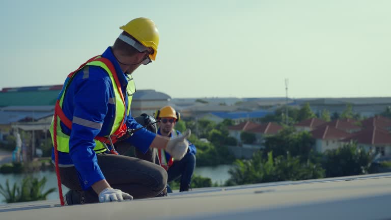 Best Skylight Installation and Repair  in Paia, HI